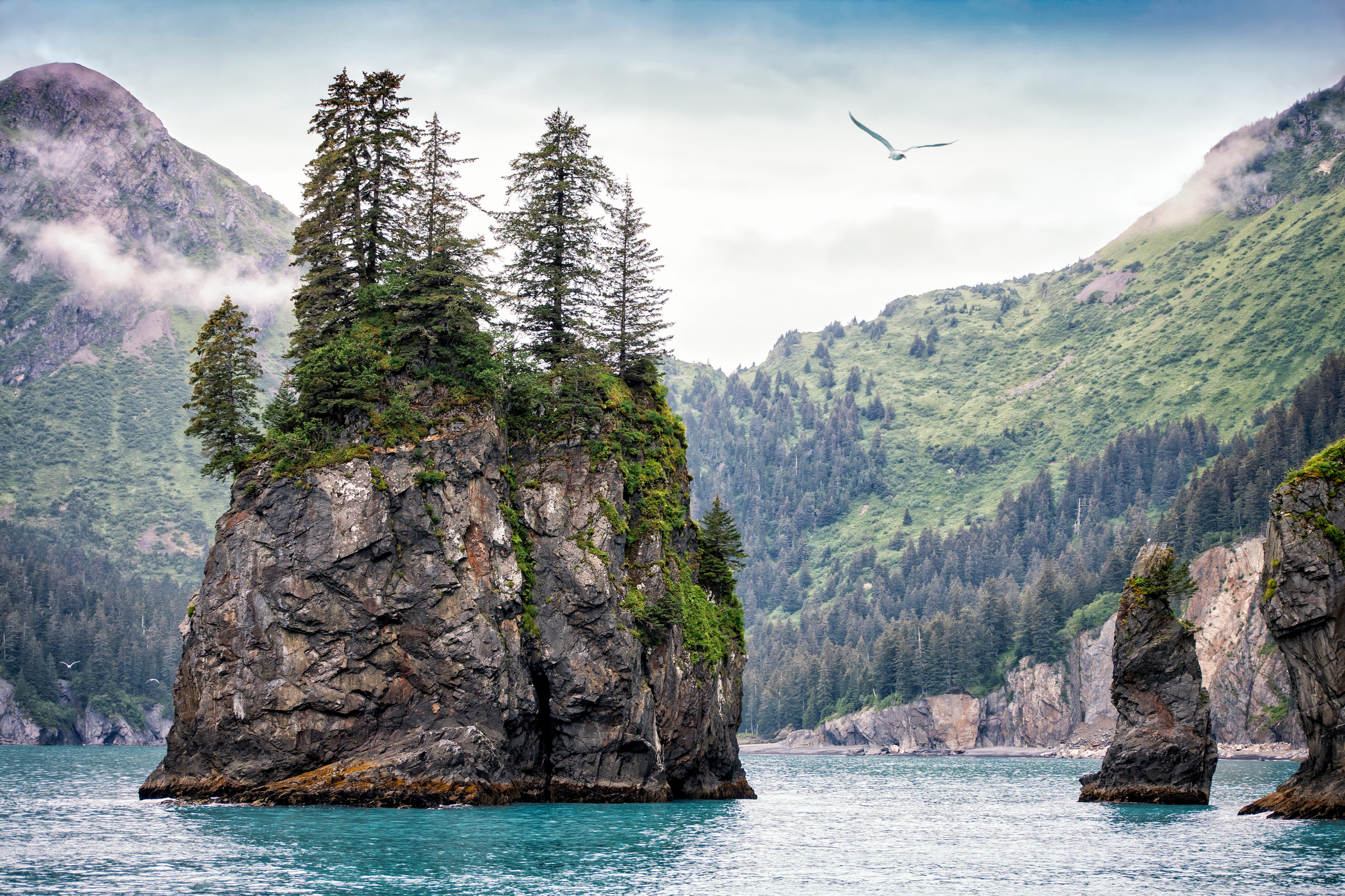 garibaldi fjord, alberto de agostini national park (4).webp